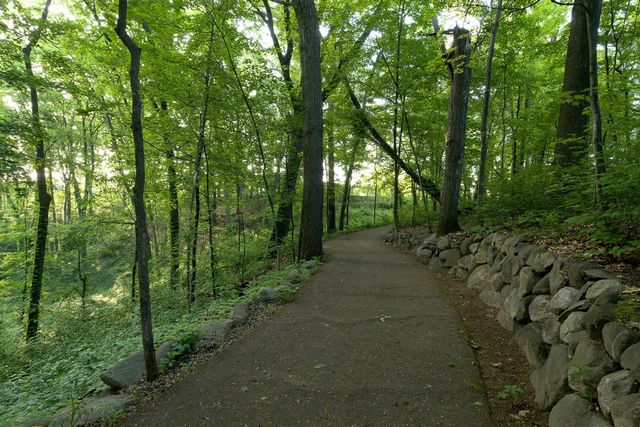 8605 Brighten Trail, Mattawan, MI 49071