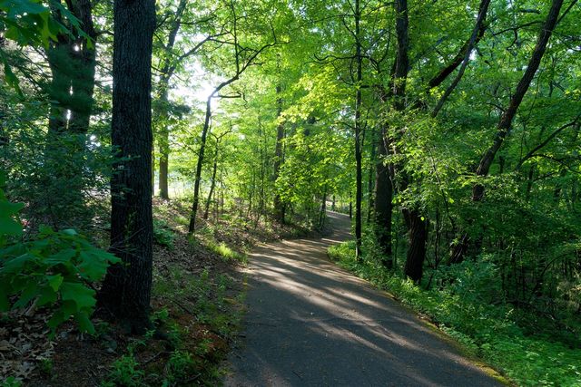 8605 Brighten Trail, Mattawan, MI 49071