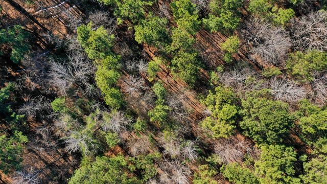 8282 Farm Market 134, Karnack, TX 75661