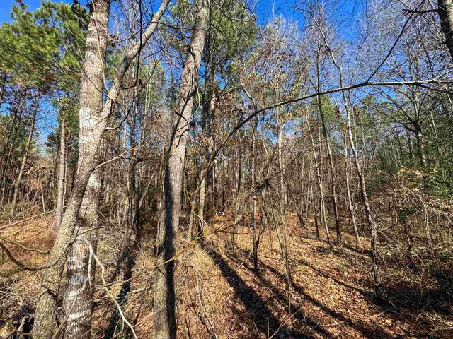 8282 Farm Market 134, Karnack, TX 75661