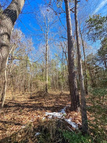 8282 Farm Market 134, Karnack, TX 75661