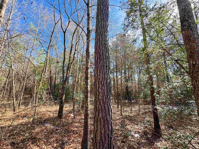 8282 Farm Market 134, Karnack, TX 75661