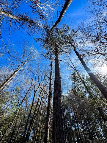 8282 Farm Market 134, Karnack, TX 75661