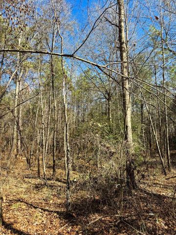 8282 Farm Market 134, Karnack, TX 75661