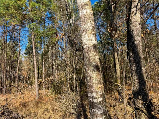 8282 Farm Market 134, Karnack, TX 75661