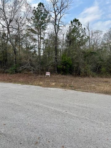 21099 Angus Drive, Cleveland, TX 77328