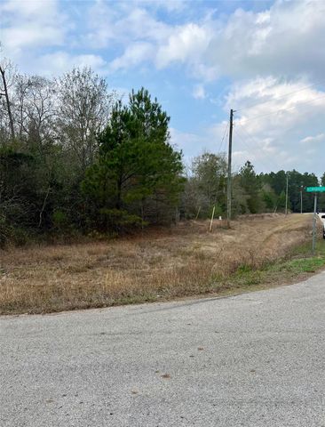 21099 Angus Drive, Cleveland, TX 77328