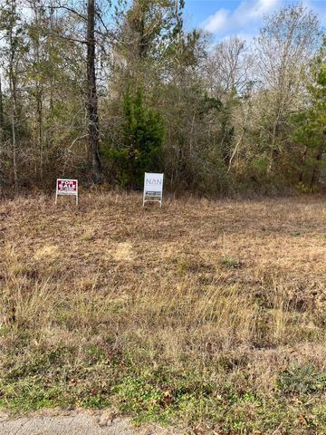 21099 Angus Drive, Cleveland, TX 77328