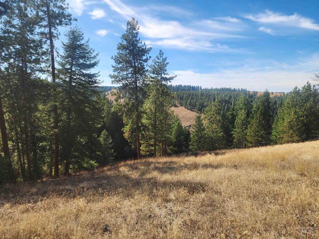 TBD Jack Pine Road, CottonWood, ID 83522 property photo