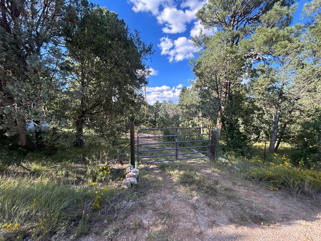 3 Pine Court, Tijeras, NM 87059