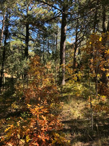 3 Pine Court, Tijeras, NM 87059