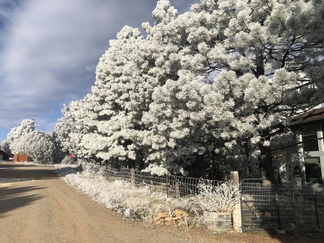 3 Pine Court, Tijeras, NM 87059