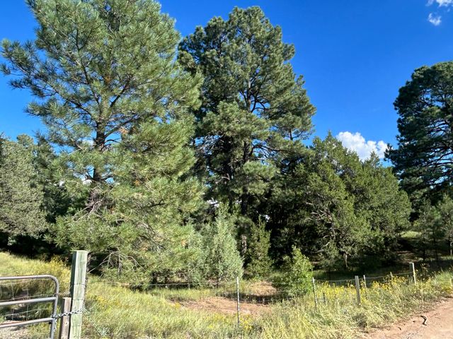 3 Pine Court, Tijeras, NM 87059