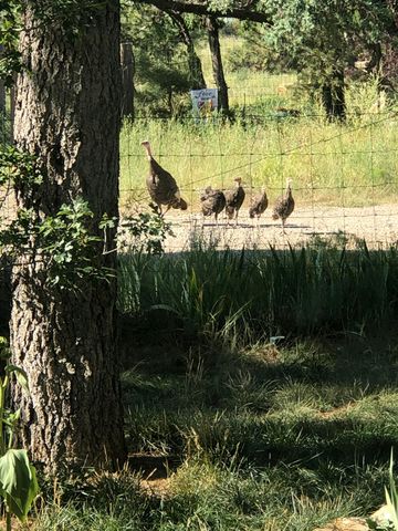 3 Pine Court, Tijeras, NM 87059