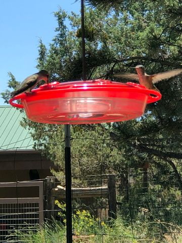 3 Pine Court, Tijeras, NM 87059