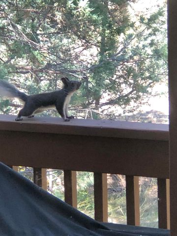 3 Pine Court, Tijeras, NM 87059