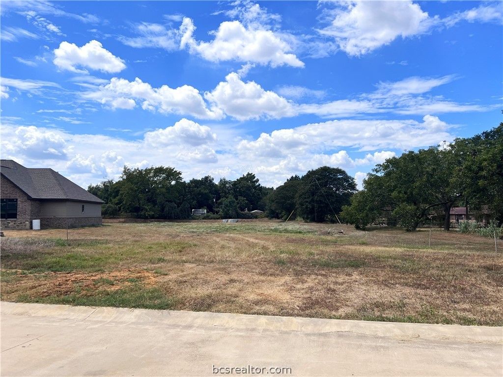 2404 Oak Hollow Lane, Brenham, TX 77833 — photo 5