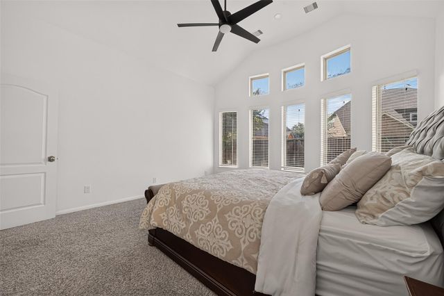910 Daffodil View Court, Richmond, TX 77406
