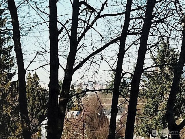 1211 S Trenton Street, Seattle, WA 98108