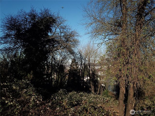 1211 S Trenton Street, Seattle, WA 98108