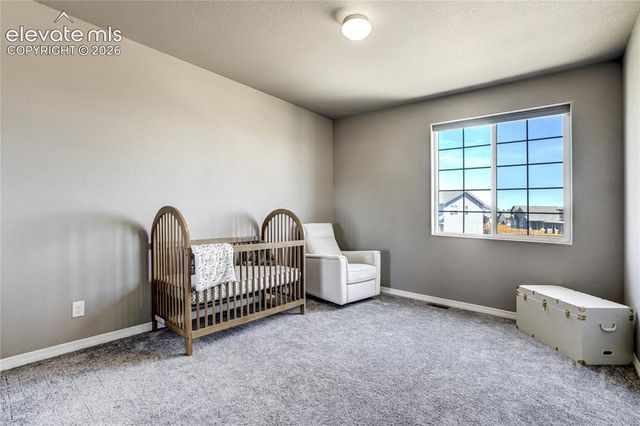 7664 Alpine Daisy Drive, Colorado Springs, CO 80925