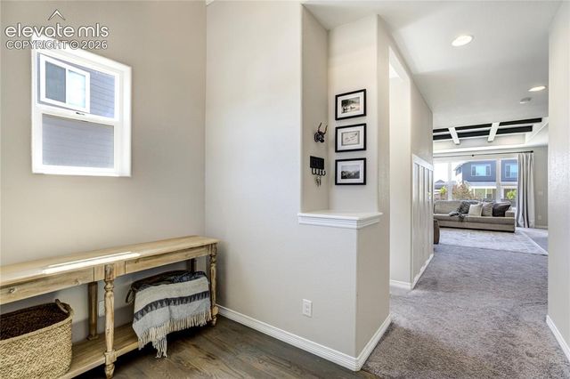 7664 Alpine Daisy Drive, Colorado Springs, CO 80925