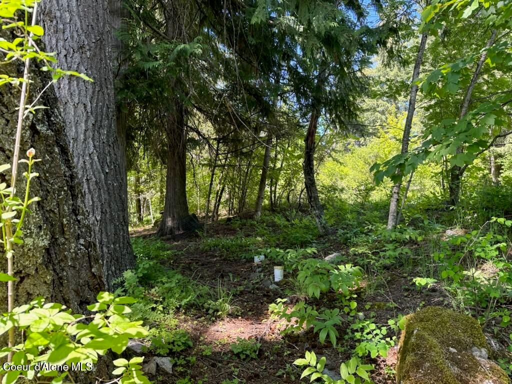 707 Eagen Mountain Dr, Hope, ID 83836 photo 48