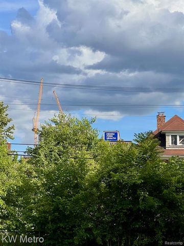 1223 W Euclid Street, Detroit, MI 48202