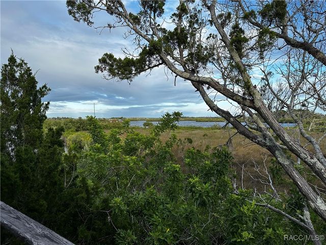 14271 W Saint Martins Road, Crystal River, FL 34429