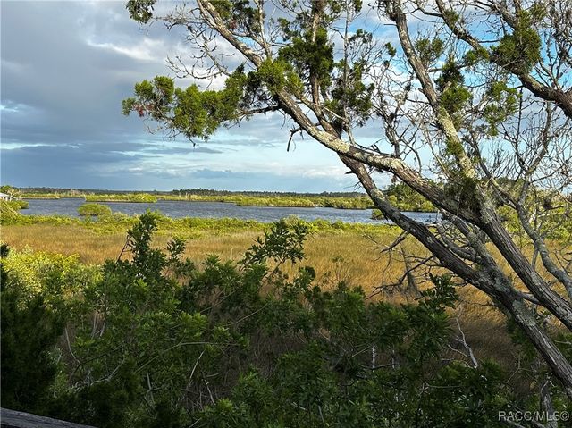 14271 W Saint Martins Road, Crystal River, FL 34429