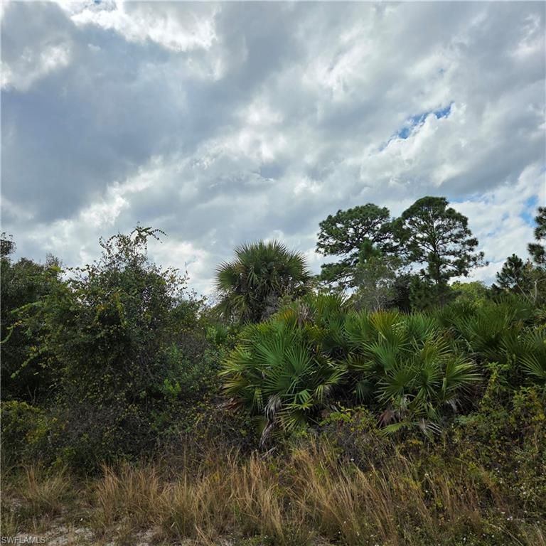 4627 Karen AVE N, LEHIGH ACRES, FL 33971 — photo 2