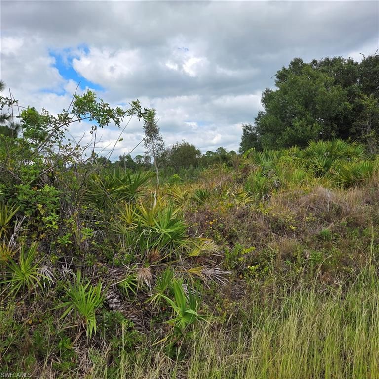 4627 Karen AVE N, LEHIGH ACRES, FL 33971 — photo 3
