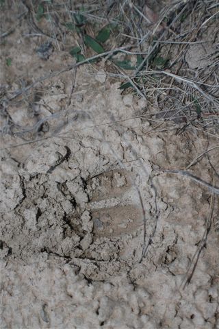 0 Fm 3054, Malakoff, TX 75148