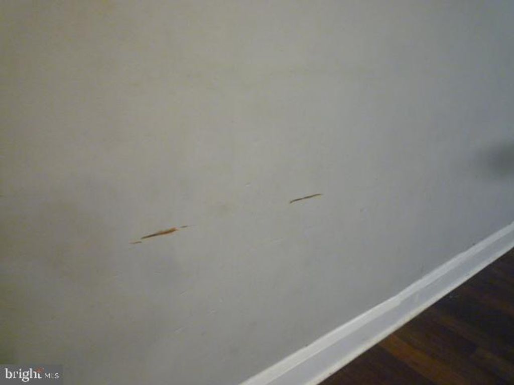 Image 15 of property listing at 5118 HARFORD RD, Baltimore, MD 21214