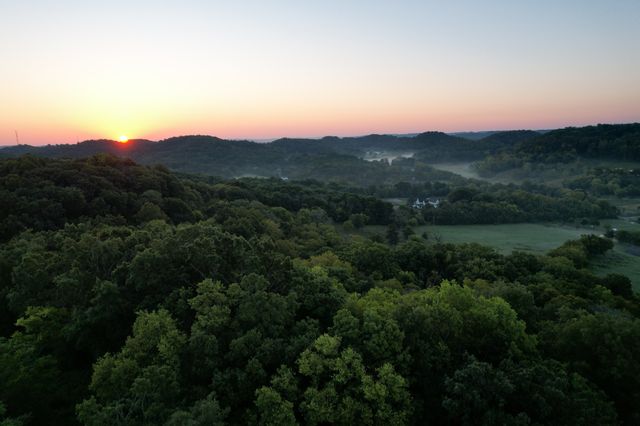 297 Old Carters Creek Pike, Franklin, TN 37064