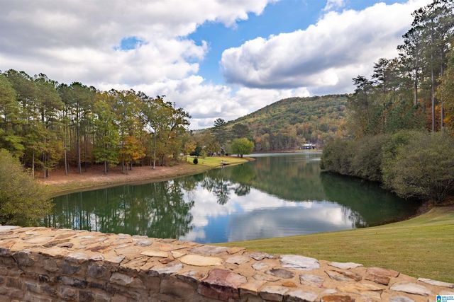 207 SAUNDERS BRIDGE CIRCLE, Sterrett, AL 35147