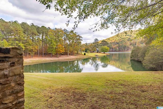 207 SAUNDERS BRIDGE CIRCLE, Sterrett, AL 35147