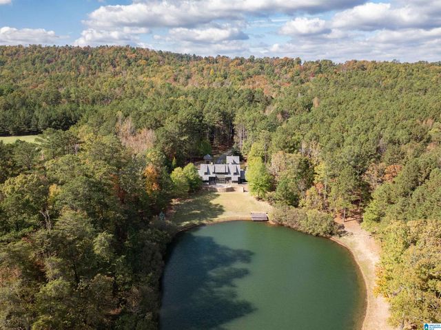 207 SAUNDERS BRIDGE CIRCLE, Sterrett, AL 35147