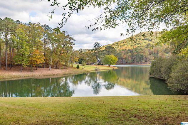 207 SAUNDERS BRIDGE CIRCLE, Sterrett, AL 35147