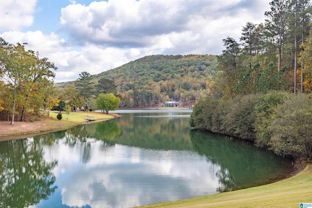 207 SAUNDERS BRIDGE CIRCLE, Sterrett, AL 35147