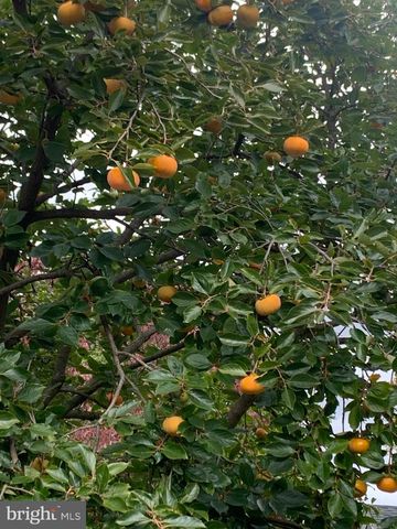 510 WALKER ST SW, Vienna, VA 22180