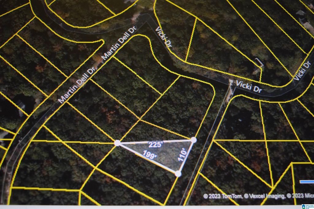 20 CASTLE CREEK DRIVE, Lakeview, AL 35111