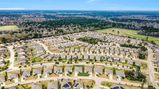 22506 Red Sparrow Drive, Hockley, TX 77447