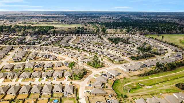 22506 Red Sparrow Drive, Hockley, TX 77447