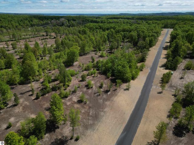 1029 E Solaris Way, Maple City, MI 49664