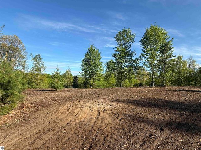 1029 E Solaris Way, Maple City, MI 49664