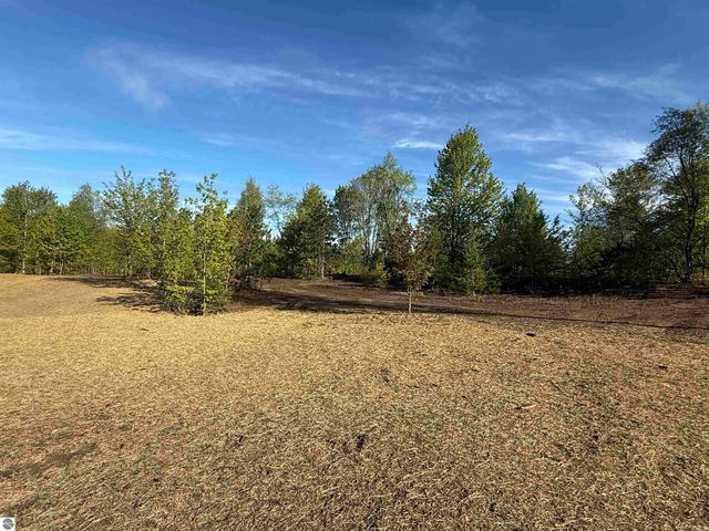 1029 E Solaris Way, Maple City, MI 49664