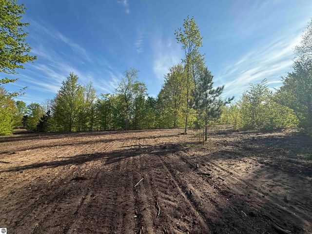 1029 E Solaris Way, Maple City, MI 49664