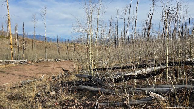 Lot 880 Slaoui Place, Fort Garland, CO 81133