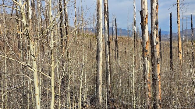 Lot 880 Slaoui Place, Fort Garland, CO 81133